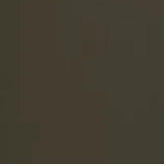 SBR Bronze