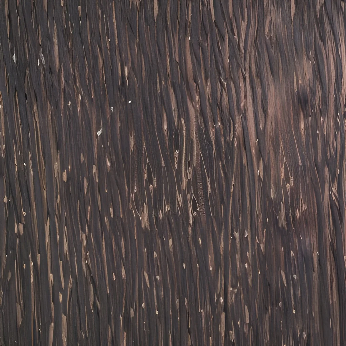 Black Palm, Wood Options